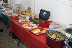 IMG_1228a